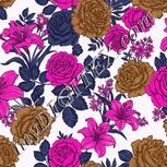 Colour:B