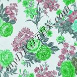 Colour:C