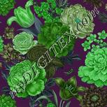Colour:C