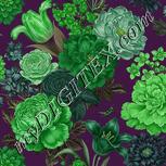 Colour:D