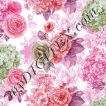Colour:B