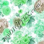 Colour:C