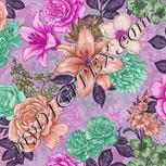 Colour:B