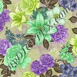 Colour:D