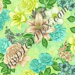 Colour:K