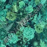 Colour:F