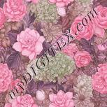 Colour:B