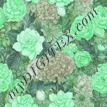 Colour:C