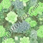 Colour:D