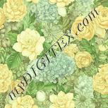 Colour:K