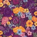 Colour:A