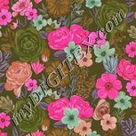 Colour:B