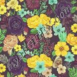 Colour:K