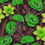 Colour:D