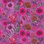 Colour:B