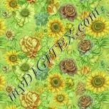 Colour:K