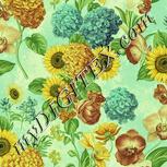 Colour:K