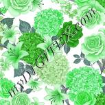 Colour:C