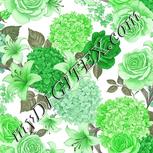 Colour:D
