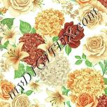 Colour:K