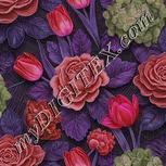 Colour:B