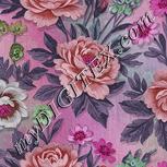 Colour:B