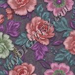 Colour:B