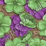 Colour:C