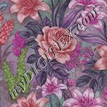 Colour:B