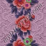 Colour:B
