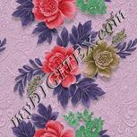 Colour:B