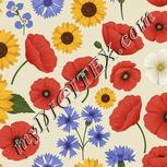 Colour:A