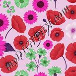 Colour:B