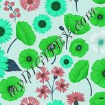 Colour:C