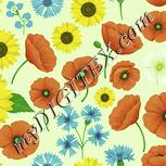 Colour:K