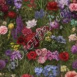 Colour:A