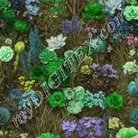 Colour:D