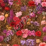 Colour:J