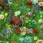 Colour:K