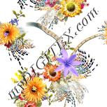 Colour:A