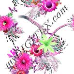 Colour:B