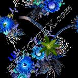 Colour:F