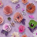 Colour:B