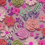 Colour:B