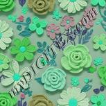 Colour:C