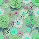 Colour:C
