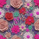 Colour:B