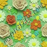 Colour:K
