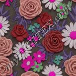 Colour:B