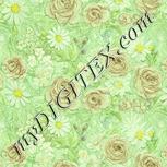Colour:K